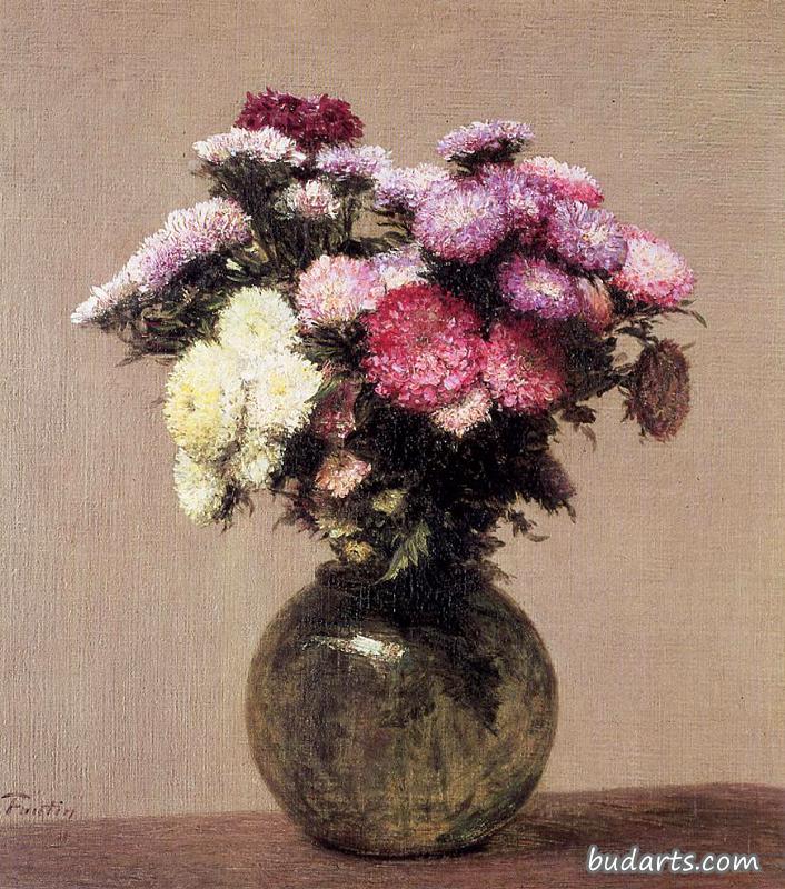 雏菊