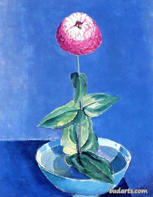 碗里的花