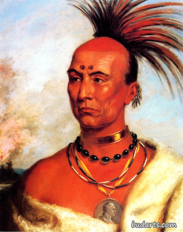 Makataimeshikiakiah (Back Hawk)