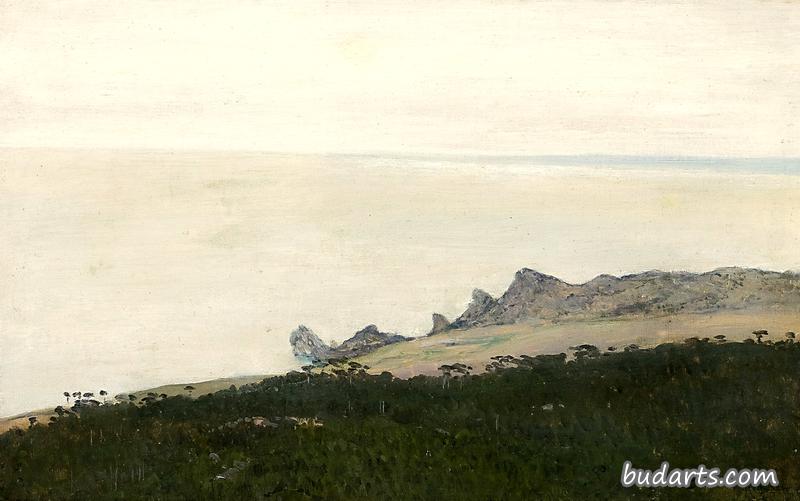 岩石海岸