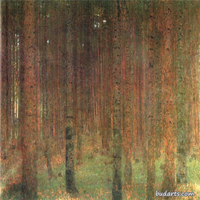 Pine Forest II