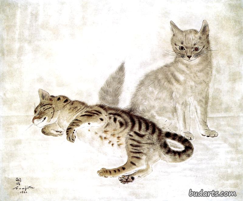 两只猫