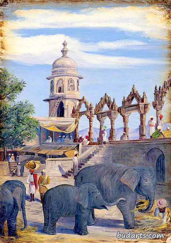 印度乌代普尔宫院和母象与母婴