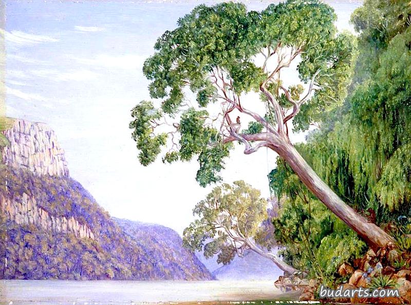 高悬在圣约翰河上的卡菲尔李树,卡夫拉里亚 高悬在圣约翰河上的卡菲尔李树,卡夫拉里亚