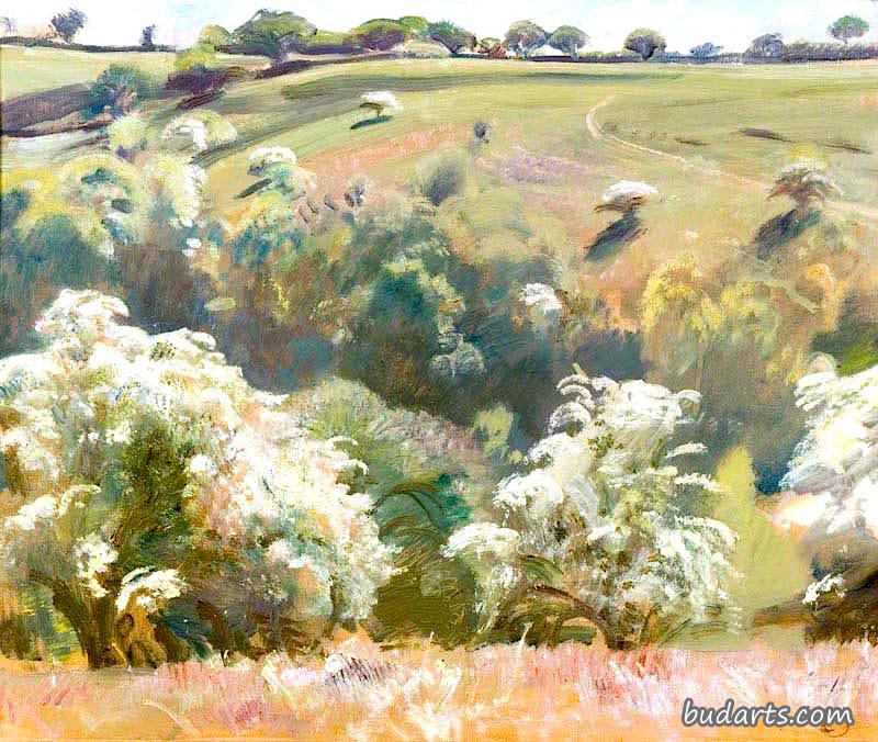 May on Exmoor