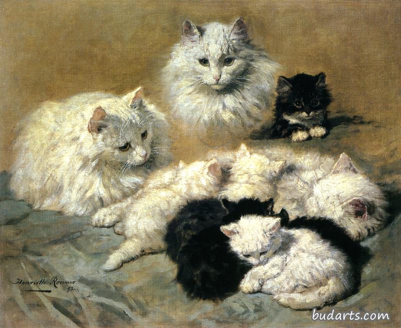 猫和小猫