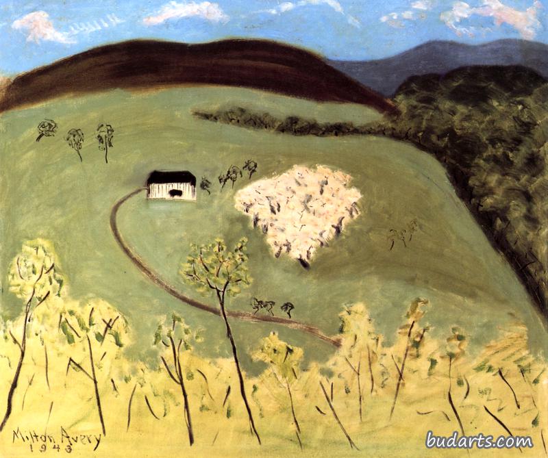 盛开的苹果园