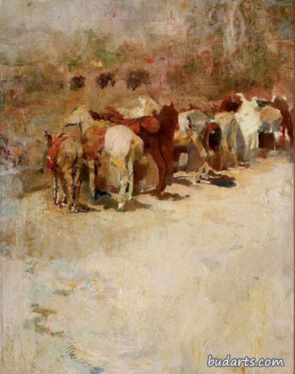 这条路