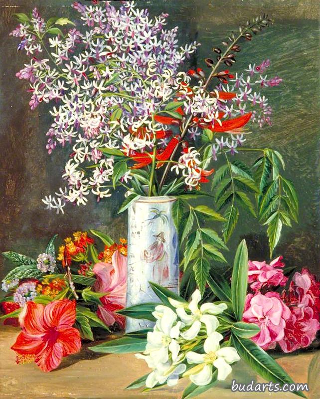 种植花卉精选，牙买加绘画