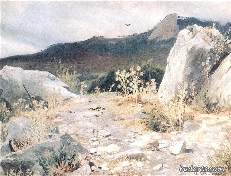 克里米亚山路（练习曲）