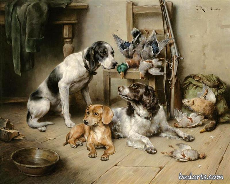 一只英国猎犬,一只达克斯猎犬和一只英国斯普林格猎犬 一只英国猎犬,一只达克斯猎犬和一只英国斯普林格猎犬