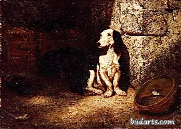 黑白巴塞特猎犬