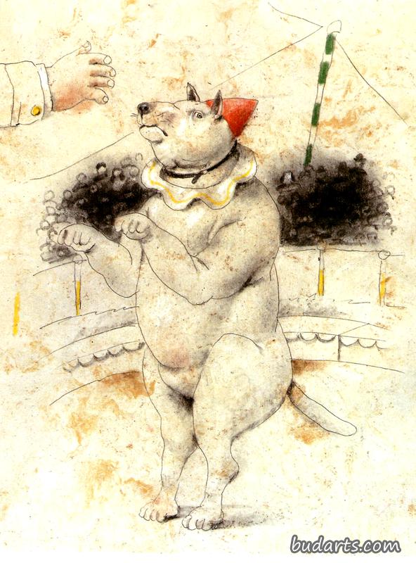 马戏犬