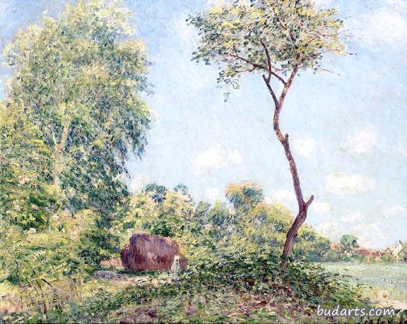 Printemps:  Trembles et acacias (Spring with Acacias)