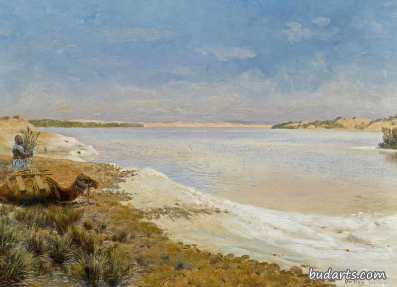 At the Wadi Natron Salt Lake (Am Wadi Natron Salzsee)
