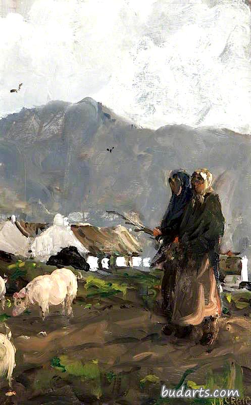 多尼格尔场景