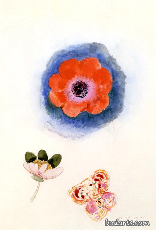 花蝶习作