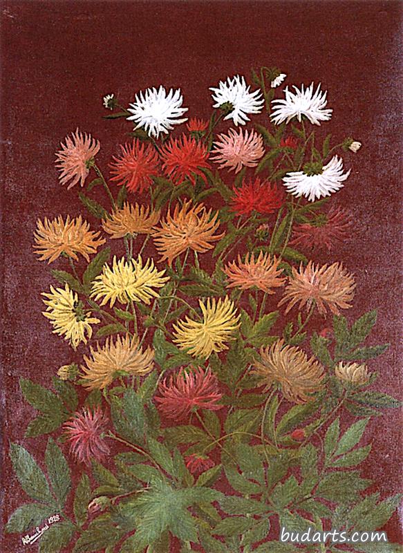 一束大丽花