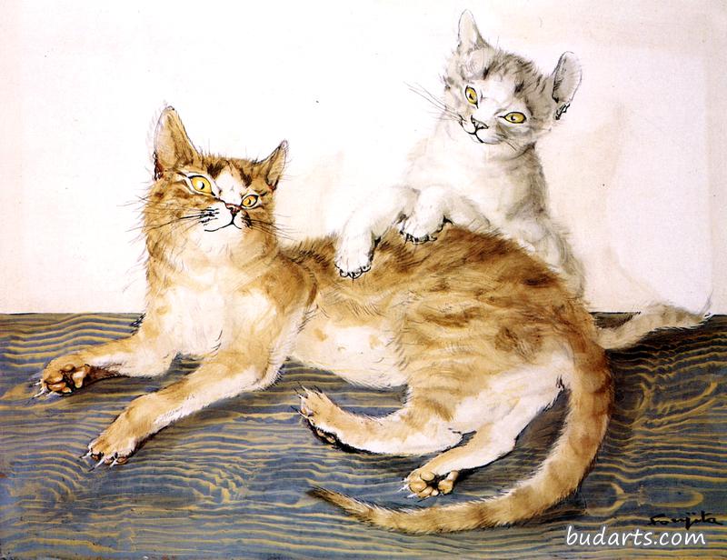 两只猫在玩