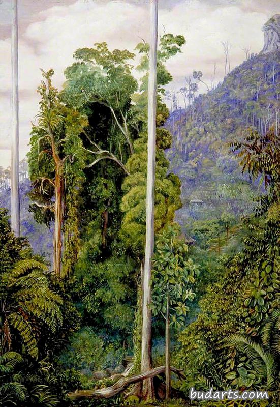 婆罗洲泰戈拉山风景
