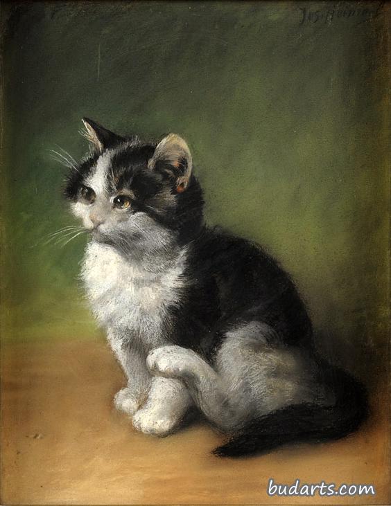 小猫