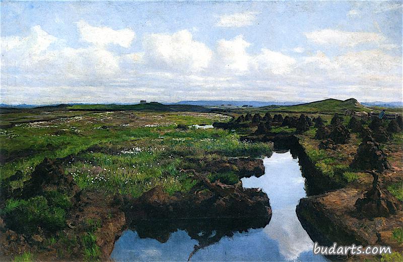 Jæren区的泥炭地