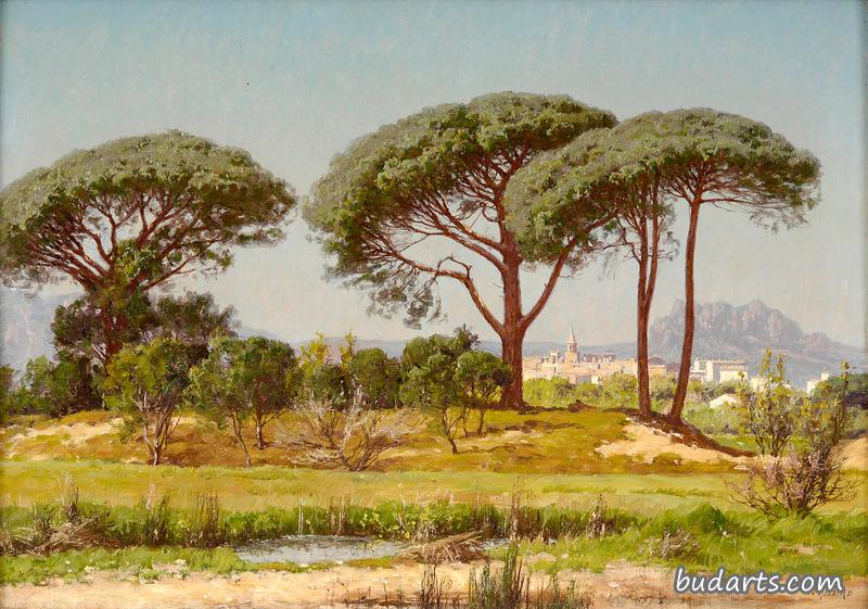 Parasol Pines, St. Raphael