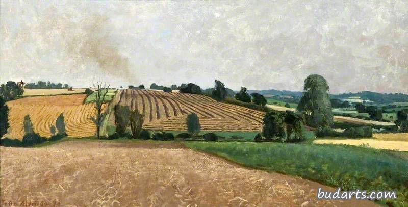 Harvest Fields, Duton Hill, near Dunmow
