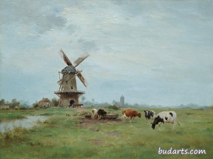 风车牛景
