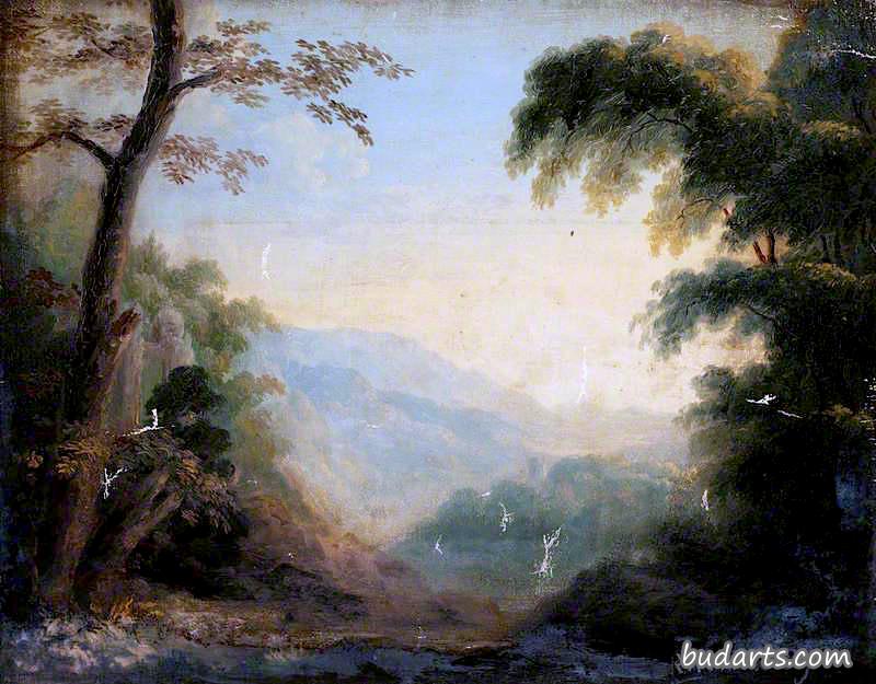 风景