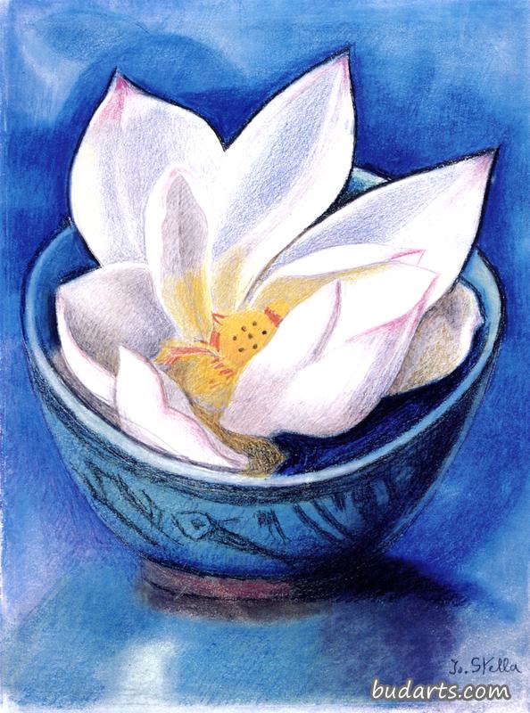 垂死的莲花