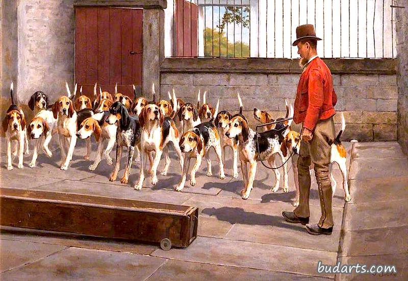 Feeding Time at Holcombe Kennels