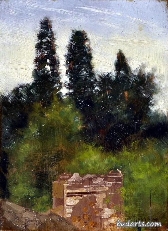 风景