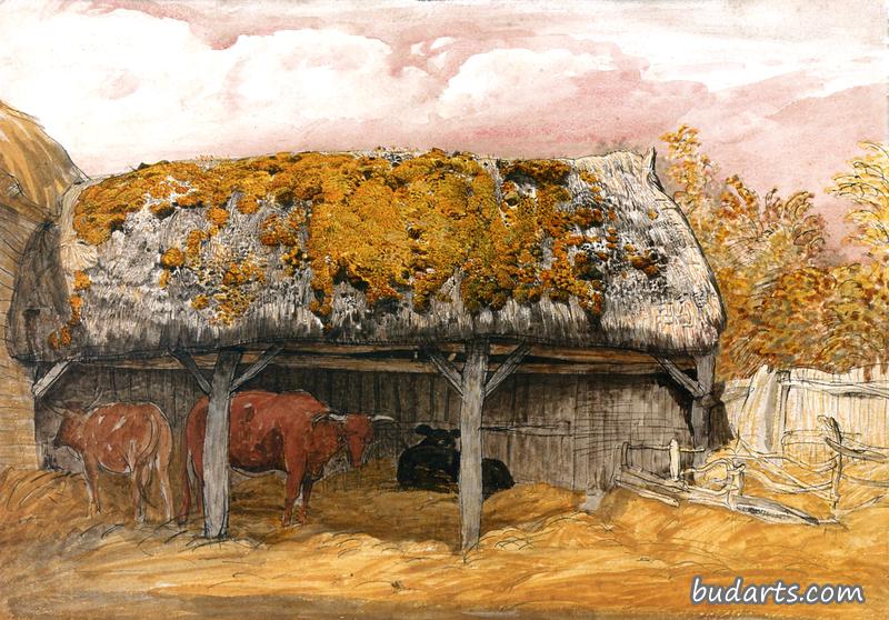 有苔藓屋顶的牛舍