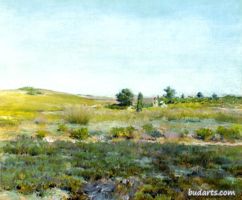 Shinnecock Hills / Summer