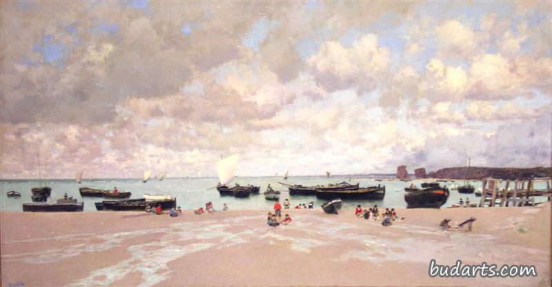 海滩景观