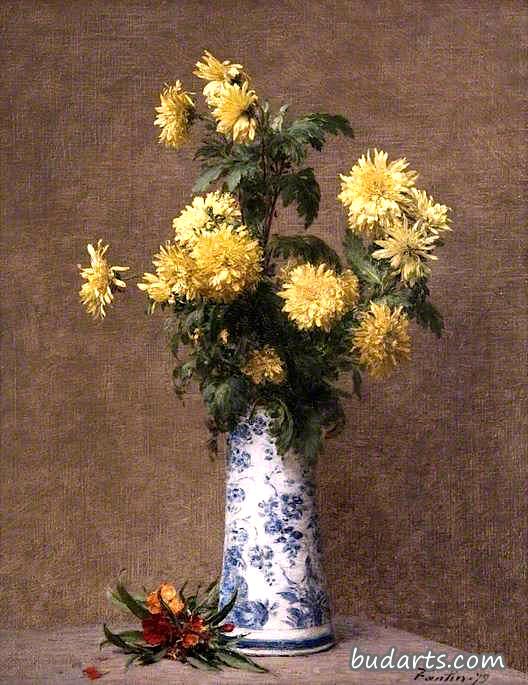 黄菊