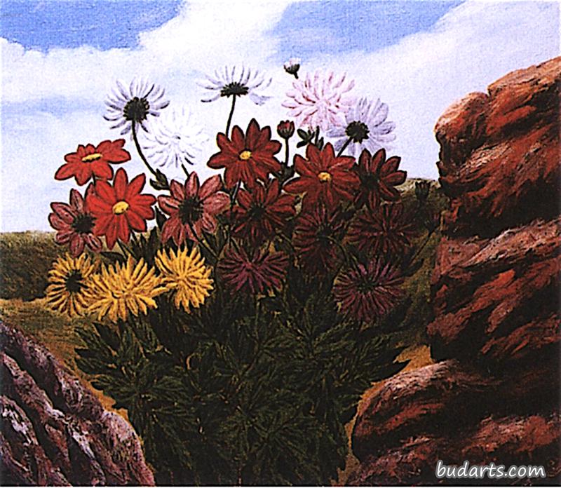 花丛