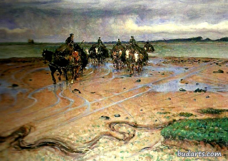 荷兰海岸