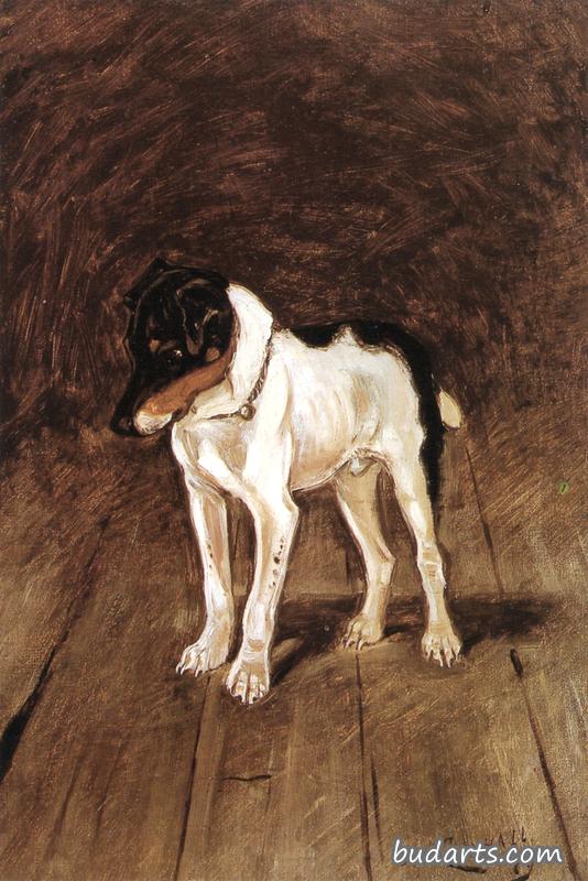 猎狐犬