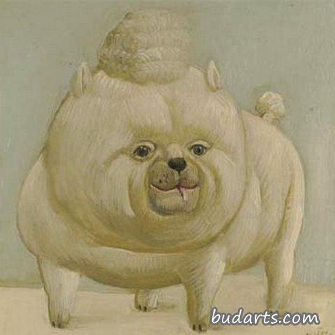 法国贵宾犬