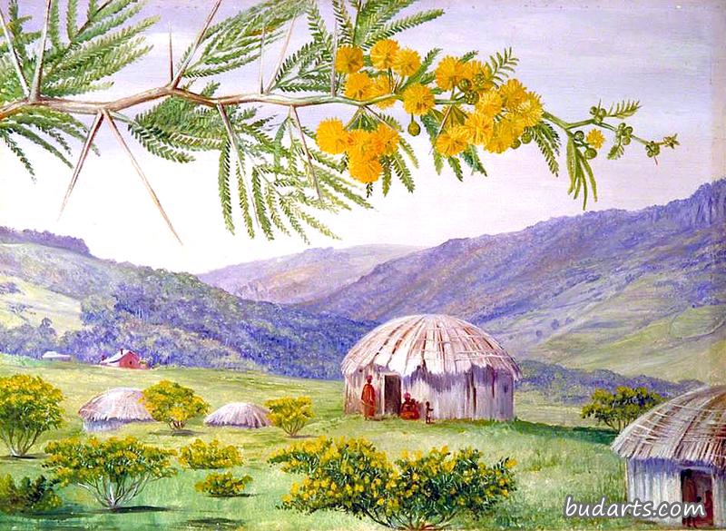 南非的门房和芬戈小屋