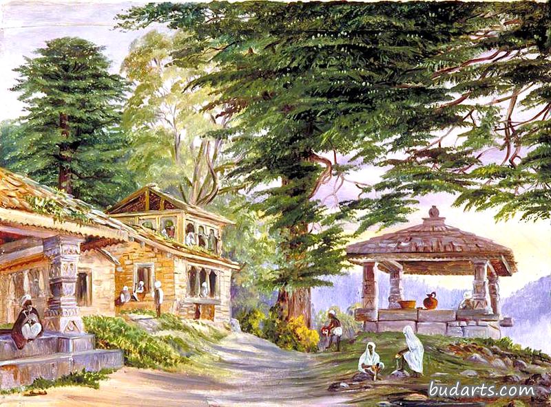 印度库曼,迪比德胡拉迪及其油井和迪奥达尔树 印度库曼,迪比德胡拉迪及其油井和迪奥达尔树