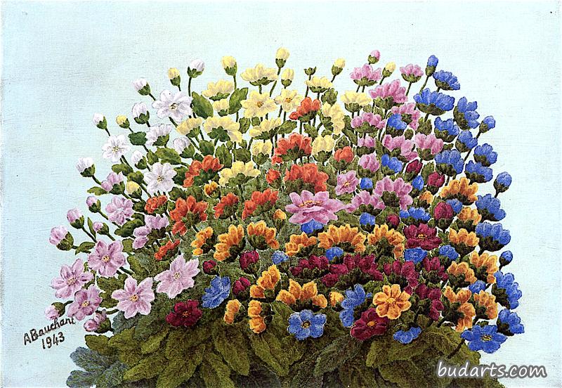 花丛