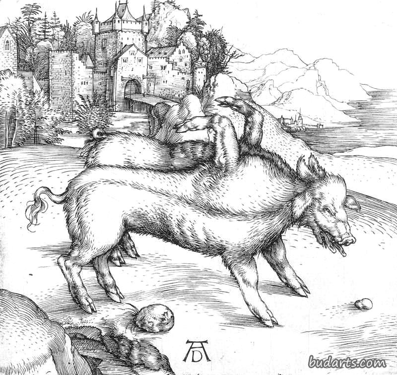 畸形的陆地母猪
