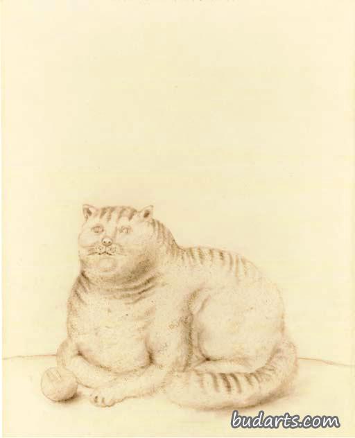 带球猫