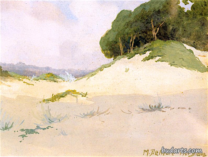 柏树角，卡梅尔