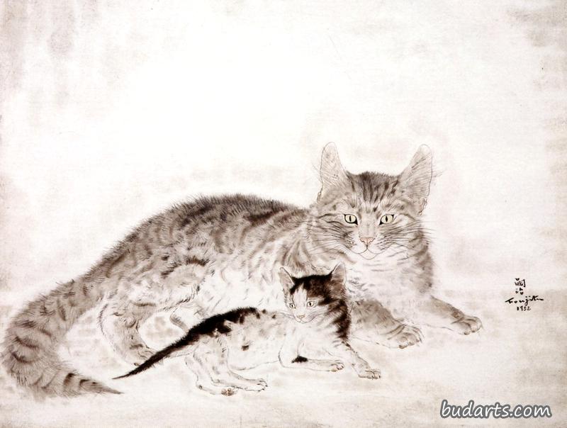 猫和小猫