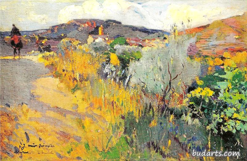 Vista de l'Aleixar
