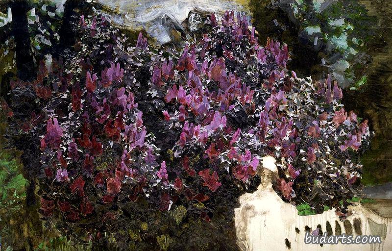 丁香花
